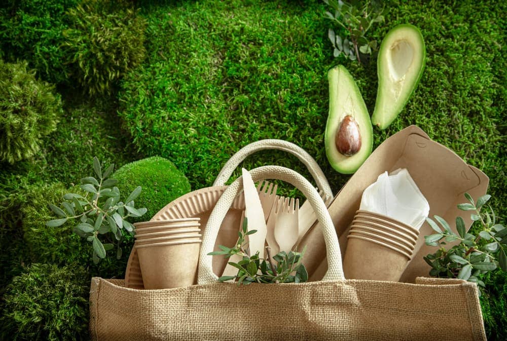 Sustainable Packaging in Ecommerce: How to Protect Your Brand, the Planet, and the Consumer